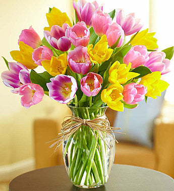 Timeless Tulips®