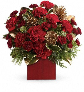Holiday - Laughter and Cheer DX