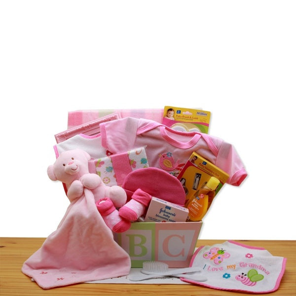BABY GIRL GIFT BASKET