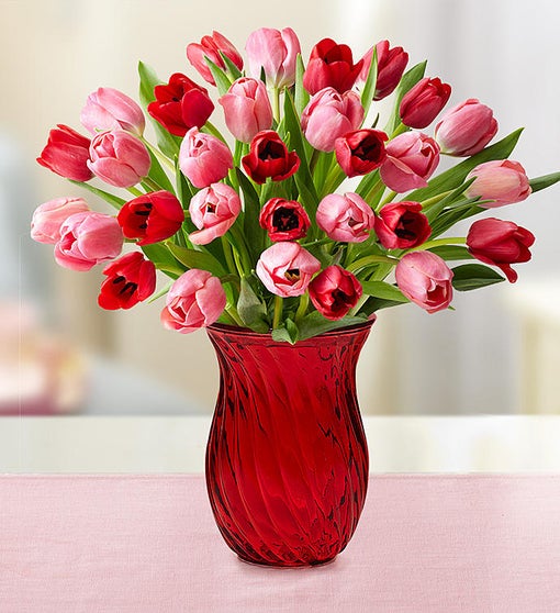 Tulips