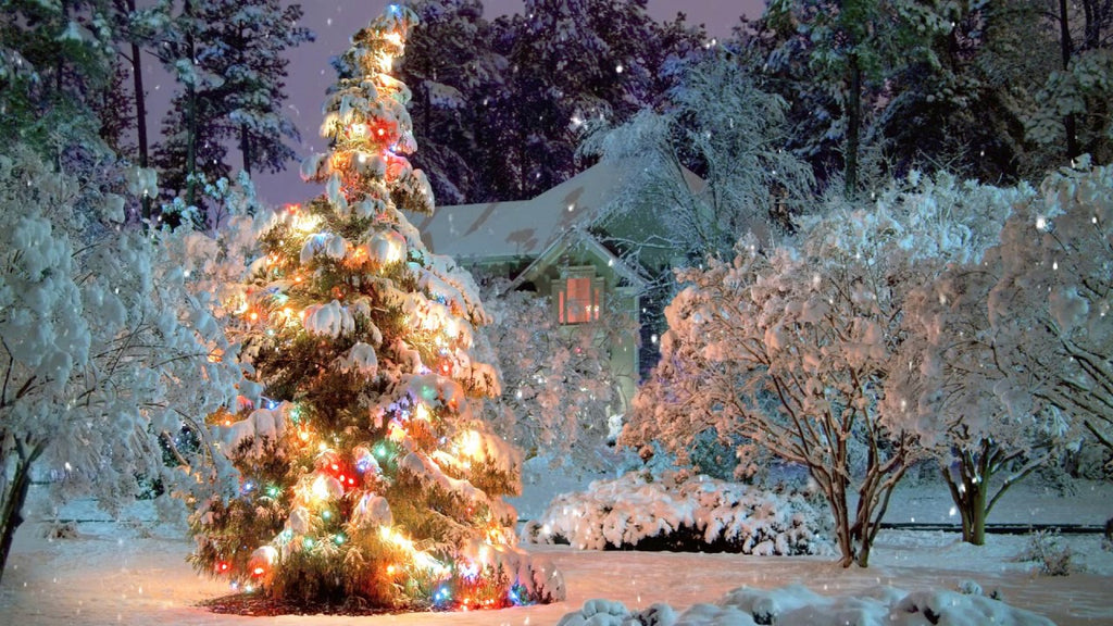 Give the gift of Christmas