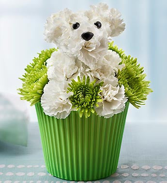 Floral Cupcake Plus, Birthday Mylar Balloon ADD. OPTIONS