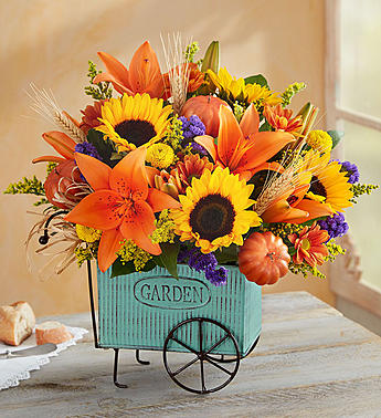 Harvest Garden Cart™