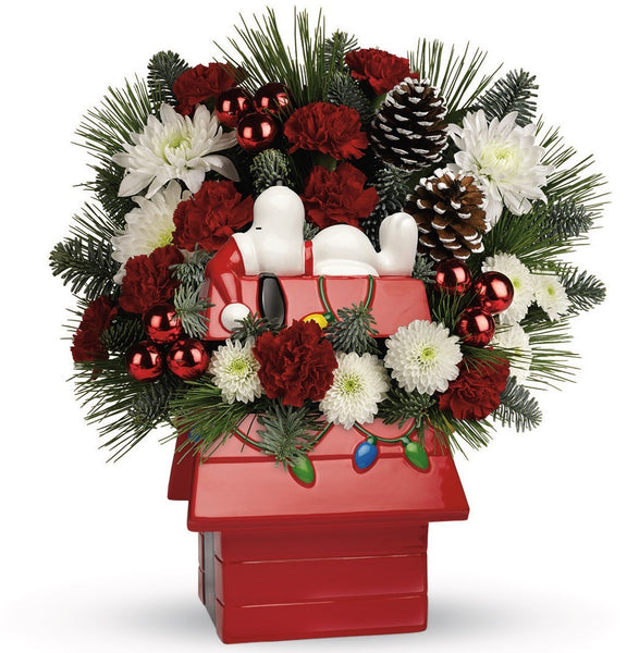 Snoopy's Cookie Jar by Teleflora "Limited Edition"