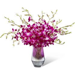 Pink at Heart Orchid Bouquet