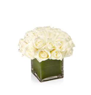Signature Collection White Roses