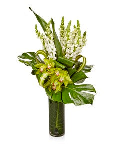 Signature Modern Lime Orchids & Tropicals